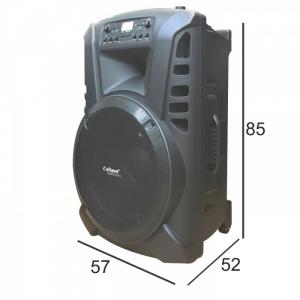 LOA KÉO CALIANA TN-18A BASS LỚN 50cm kích thước hoành tráng, công suất lớn đến 580W