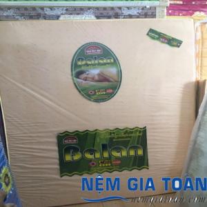 Nệm Mousse Thông Hơi Xuất Khẩu BALAN 160x200x10