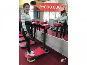 Máy Rụng Bụng Đứng 2019