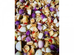 Kính thưa các loài mắm