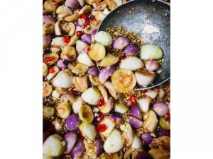 Kính thưa các loài mắm