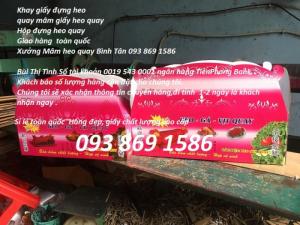 khay heo quay, mâm heo quay, hộp đựng heo quay thùng carton đựng heo quay