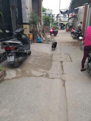 Chính chủ bán nhà Khu Bình Triệu-PVĐ 1 Tr 2 lầu, 2pn 2 wc giá cực rẻ.Hẻm 3 bánh. HH 2%
