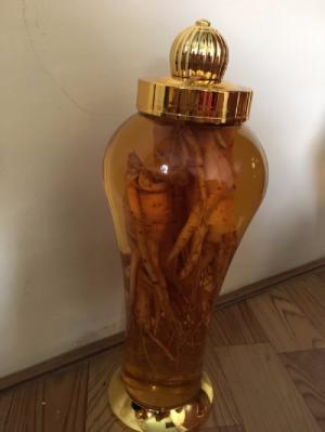 Sâm ngâm rượu có tác dụng gì đối với sức khỏe sinh sản