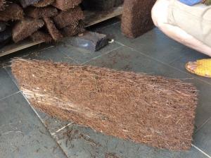 1 bản dớn rừng : 20 x30 x3