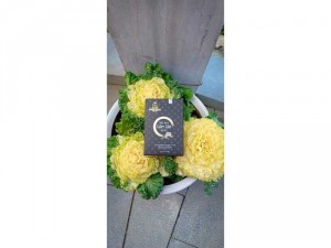 Thảo dược giảm cân Hương Nhung