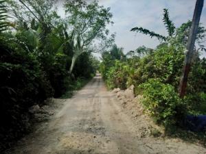 Bán đất lớn mặt tiền đường số 9, Nguyễn Xiển, P. Trường Thạnh, Q9, HCM giá chỉ 10tr/m2