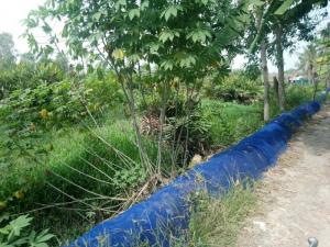 Bán đất lớn mặt tiền đường số 9, Nguyễn Xiển, P. Trường Thạnh, Q9, HCM giá chỉ 10tr/m2