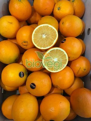 Cam vàng Ai Cập - Biovegi - Giá chỉ 55k