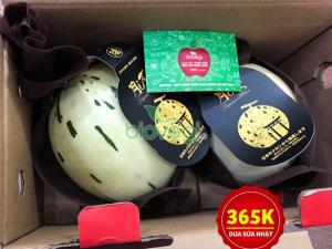 Dưa sữa Nhật - Biovegi