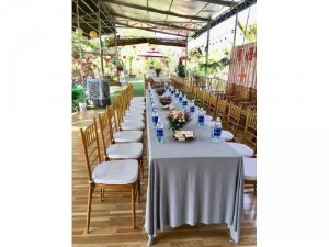 Ghế nhà hàng cao cấp giá rẻ nhất