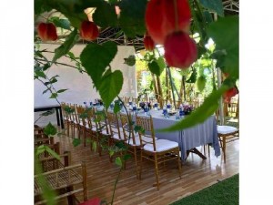 Ghế nhà hàng cao cấp giá rẻ nhất
