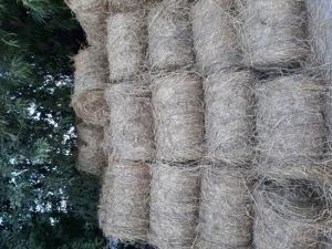 Rơm cuộn giá rẻ an giang