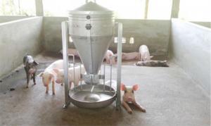 Máng ăn công nghiệp cho lợn ăn tự động INOX siêu bền loại 1 bao 25kg giá rẻ nhất mua ở đâu tại Ninh Bình
