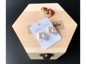 Bông tai nữ thời trang hợp kim cao cấp không gỉ 3824
