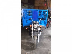 xe hoa lam