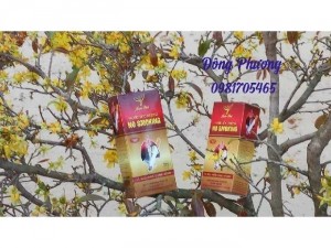 Nước súc miệng No_SMOKING XUÂN VINH