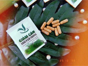 Trà Giảm Cân Đông Y