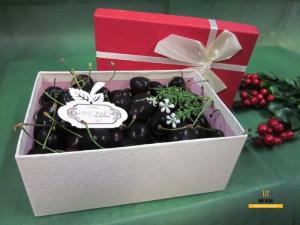 Hộp quà Cherry trung hình chữ nhật - Hộp quà Valentine