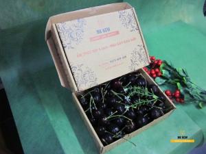 Đặt Hộp quà Cherry MKnow nhỏ - FSNK51