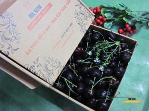 Đặt Hộp quà Cherry MKnow lớn - FSNK50