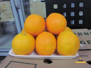 Cam Mỹ ruột vàng