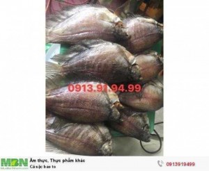 Cá sặc bao to
