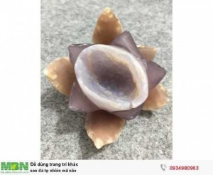 Sen đá tự nhiên mã não ( sỉ & lẻ ib )