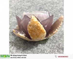Sen đá tự nhiên mã não ( sỉ & lẻ ib )