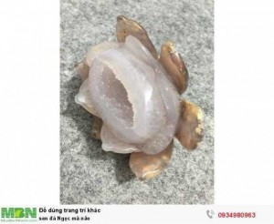 Sen đá Ngọc mã não ( sỉ & lẻ ib )