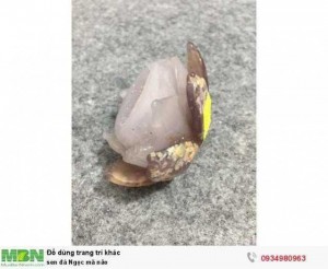 Sen đá Ngọc mã não ( sỉ & lẻ ib )