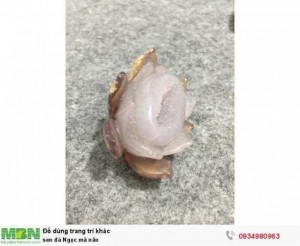 Sen đá Ngọc mã não ( sỉ & lẻ ib )