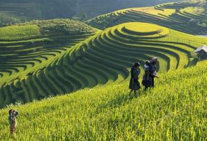 Hà Nội - Hạ Long - Ninh Bình - Sapa