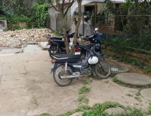 Đất Trung Tâm Vẫn Ngắm Rừng Thông Đà Lạt