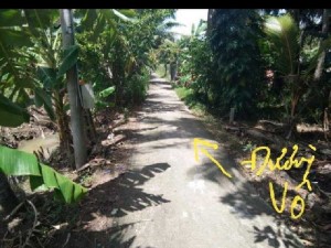 Bán 1 mẫu đất vườn