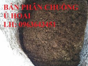 Chuyên cung cấp phân bón hữu cơ, phân chuồng ủ hoai, phân gia súc ủ hoai mục bằng chế phẩm sinh học