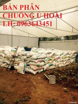 Chuyên cung cấp phân bón hữu cơ, phân chuồng ủ hoai, phân gia súc ủ hoai mục bằng chế phẩm sinh học