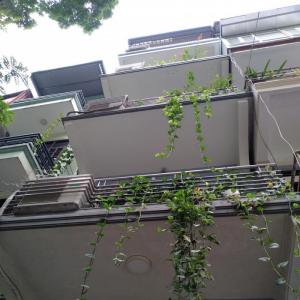 Cần bán nhà ngõ 61 Hoàng Cầu, diện tích 41m2, nở hậu