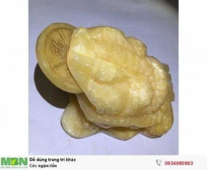 Cóc ngậm tiền ( sỉ & lẻ ib )