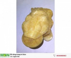 Cóc ngậm tiền ( sỉ & lẻ ib )