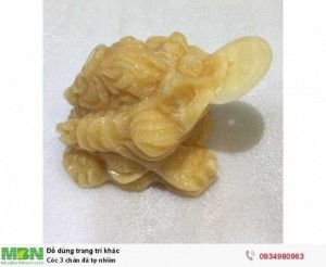 Cóc 3 chân đá tự nhiên ( sỉ & lẻ ib )