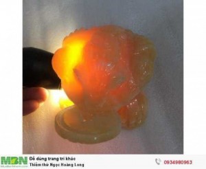 Thiềm thừ Ngọc Hoàng Long ( sỉ & lẻ ib )