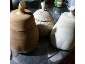 Mẫu đựng hình quả