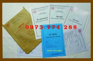 Mẫu lý lịch cán bộ công chức, viên chức mới nhất năm 2019