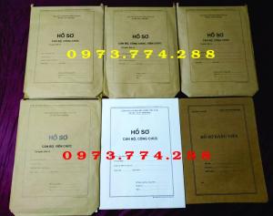 Mua mẫu hồ sơ lý lịch cán bộ viên chức ở đâu?