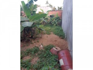 Bán Nhà và đất 9x 16m Bình Mỹ Củ Chi