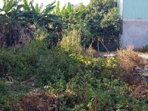Bán lô đất 5x18.5m . trảng dài