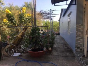 Bán nhà và đất ngay ngã 3 bến Lớn phường tân định thị xã bến Cát