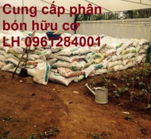 Chuyên cung cấp phân hữu cơ, phân chuồng ủ hoai, phân gia súc ủ hoai, uy tín, chất lượng, giao hàng toàn quốc
