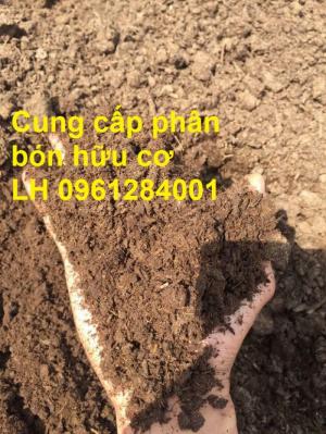 Chuyên cung cấp phân hữu cơ, phân chuồng ủ hoai, phân gia súc ủ hoai, uy tín, chất lượng, giao hàng toàn quốc